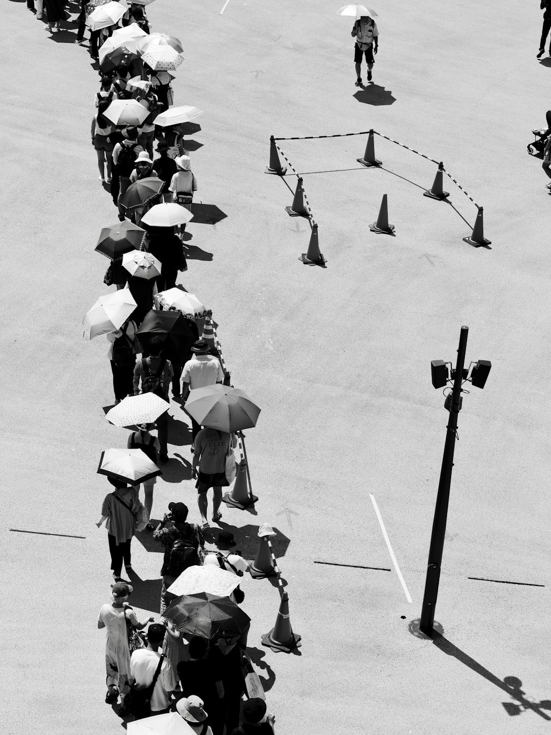 People with umbrellas